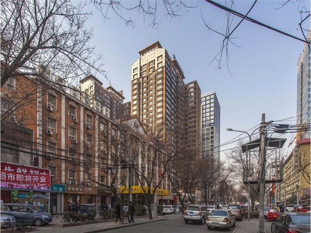 高性价比PEI转染试剂优化方案